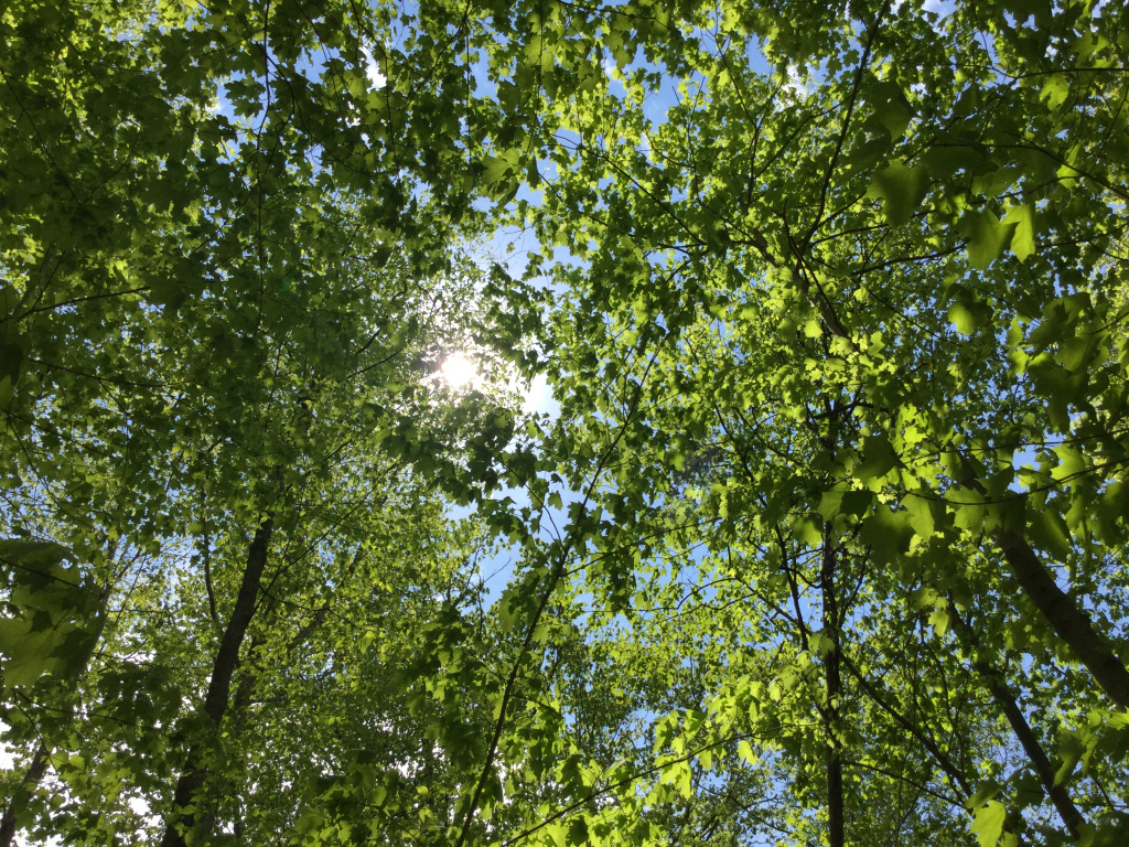 Tough Season? You Are Going to Make it&nbsp;Through