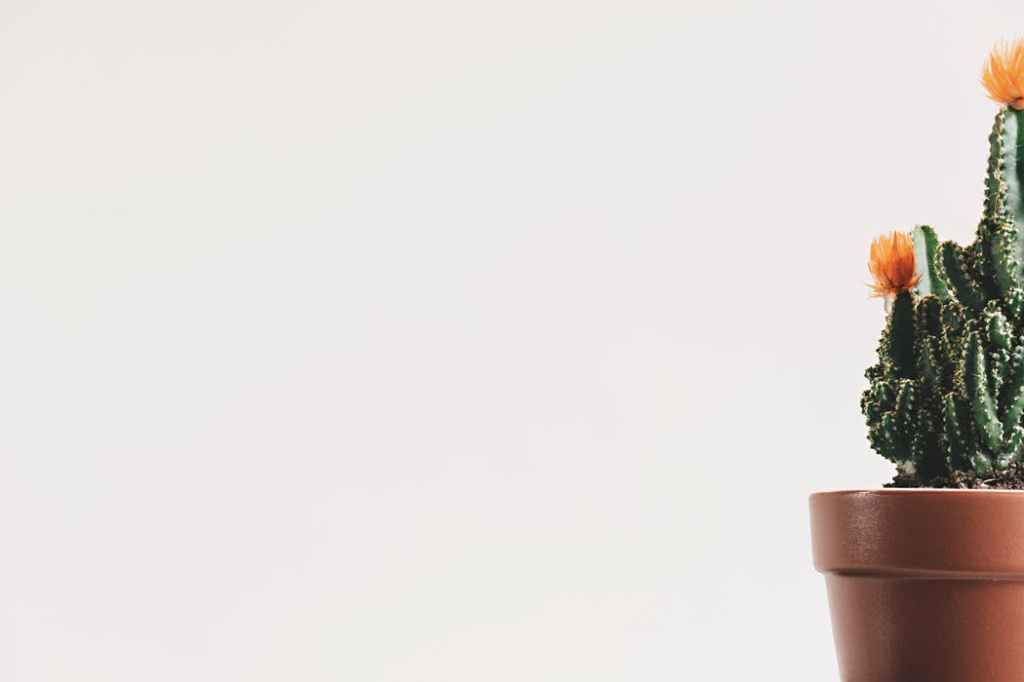 Minimalism as a Self-Care&nbsp;Practice?