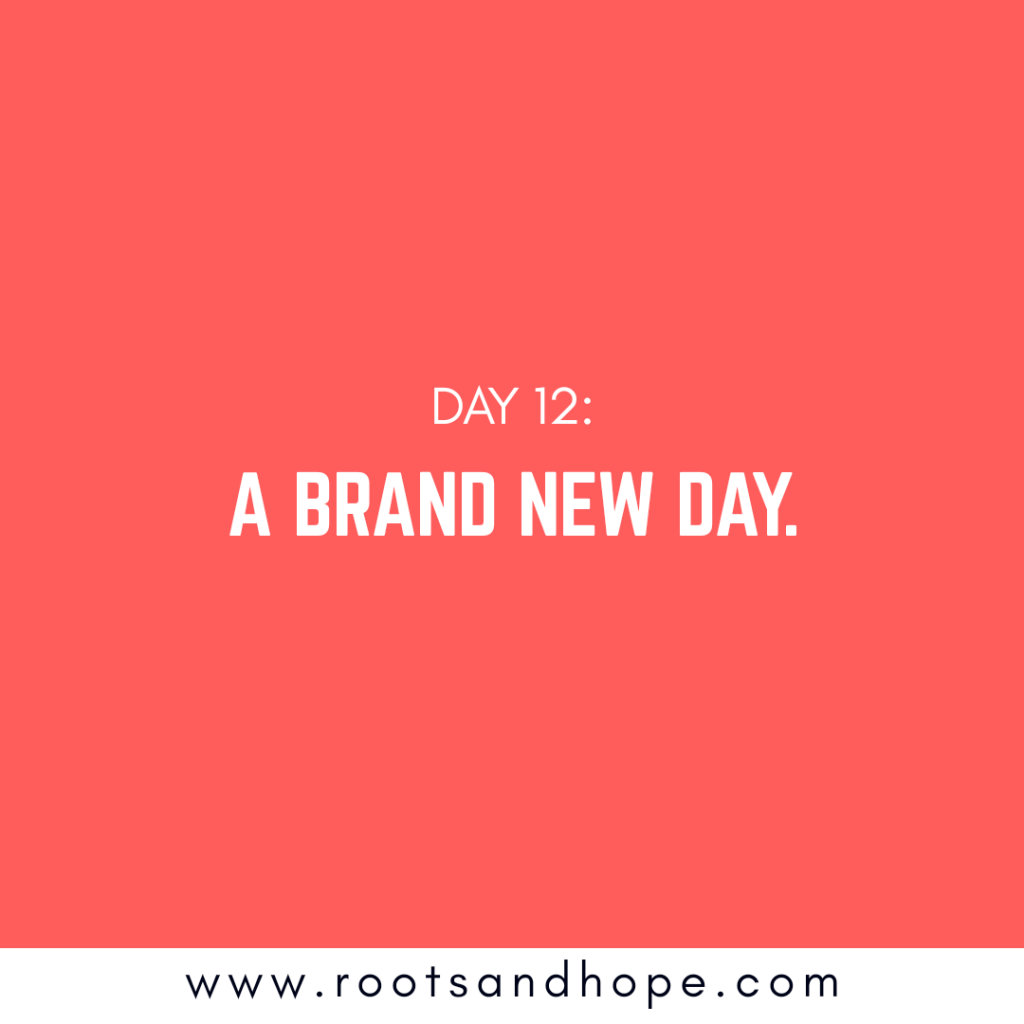 Day 12: Brand New&nbsp;Day
