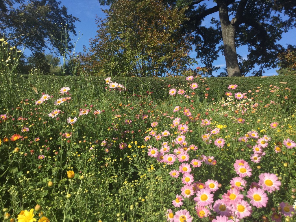 Monday, October 28,&nbsp;2019